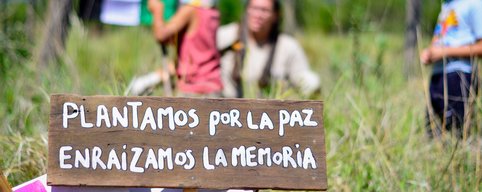 PlantamosxLaMemoria(BriMiranda) (10)