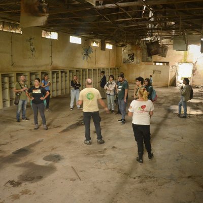 Visita - bateria de tiro